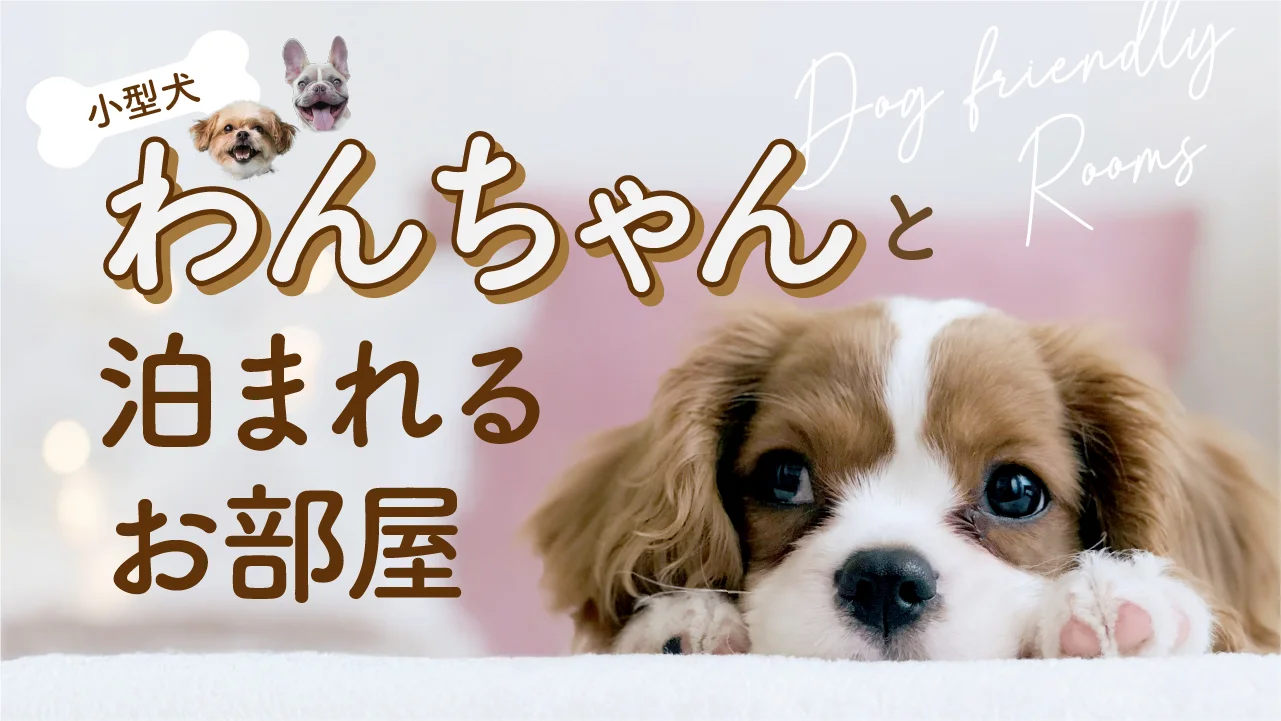 【愛犬同伴可】ペットフロアA